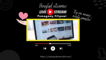 Main photo uploaded by the user