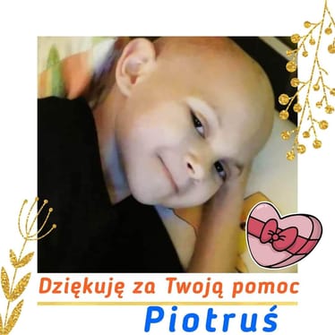 Main photo uploaded by the user