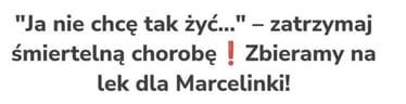 Zdjęcie główne wgrane przez użytkownika