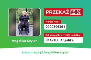 Zdjęcie główne wgrane przez użytkownika
