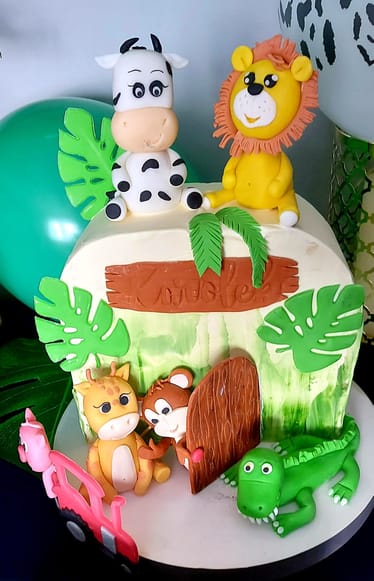 Main photo uploaded by the user