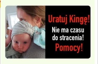 Main photo uploaded by the user