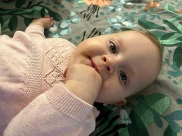 Zdjęcie główne wgrane przez użytkownika