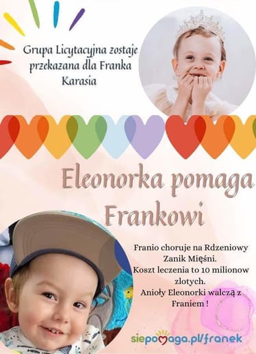 Zdjęcie główne wgrane przez użytkownika