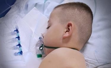 Zdjęcie główne wgrane przez użytkownika