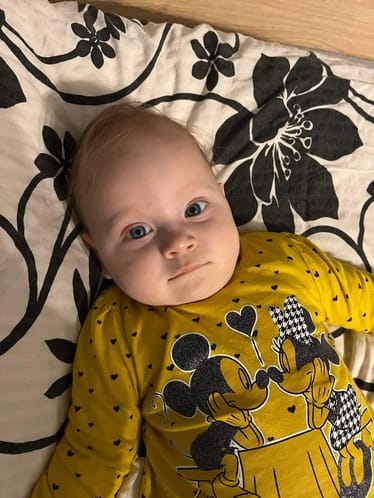 Zdjęcie główne wgrane przez użytkownika