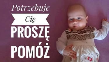 Zdjęcie główne wgrane przez użytkownika