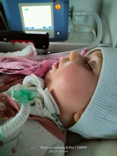 Zdjęcie główne wgrane przez użytkownika