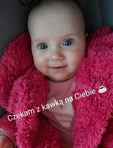 Main photo uploaded by the user