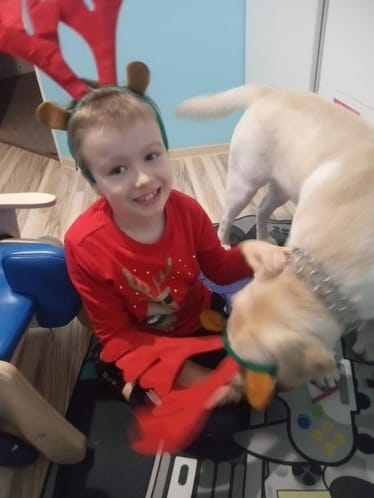 Zdjęcie główne wgrane przez użytkownika