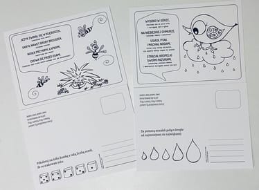 Main photo uploaded by the user