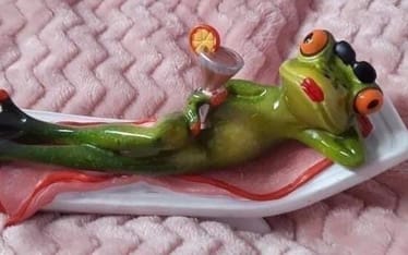 Main photo uploaded by the user