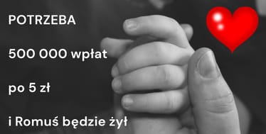 Zdjęcie główne wgrane przez użytkownika