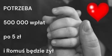 Zdjęcie główne wgrane przez użytkownika