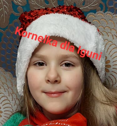 Main photo uploaded by the user