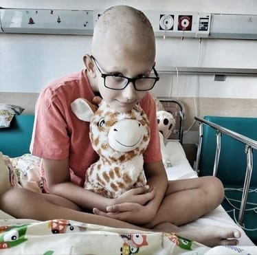 Zdjęcie główne wgrane przez użytkownika