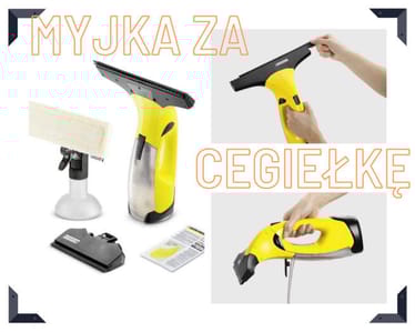 Zdjęcie główne wgrane przez użytkownika