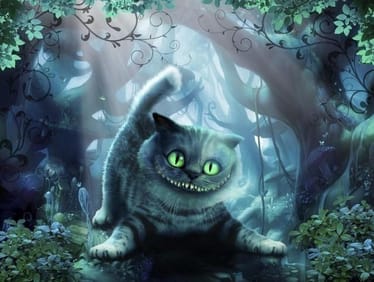 Main photo uploaded by the user