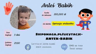 Zdjęcie główne wgrane przez użytkownika