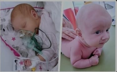 Zdjęcie główne wgrane przez użytkownika