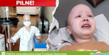 Main photo uploaded by the user