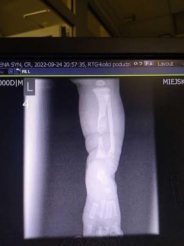 Zdjęcie główne wgrane przez użytkownika