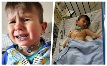 Main photo uploaded by the user