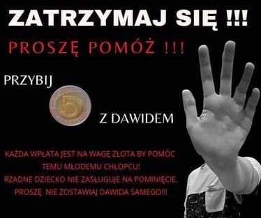 Zdjęcie główne wgrane przez użytkownika