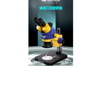 Zdjęcie główne wgrane przez użytkownika