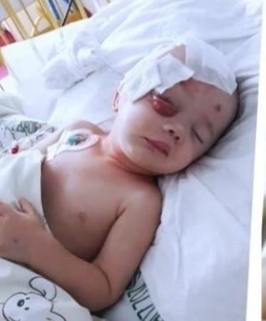 Zdjęcie główne wgrane przez użytkownika