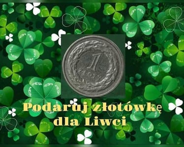 Zdjęcie główne wgrane przez użytkownika