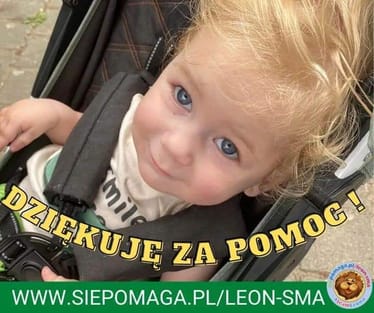 Zdjęcie główne wgrane przez użytkownika