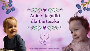 Zdjęcie główne wgrane przez użytkownika