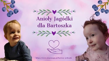 Zdjęcie główne wgrane przez użytkownika