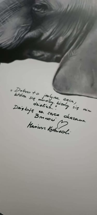 Main photo uploaded by the user