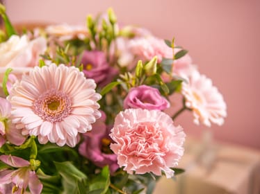 Main photo uploaded by the user