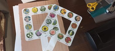 Zdjęcie główne wgrane przez użytkownika