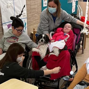 Main photo uploaded by the user