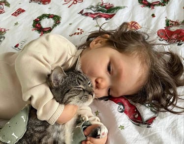 Zdjęcie główne wgrane przez użytkownika