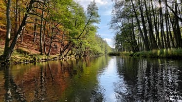 Main photo uploaded by the user