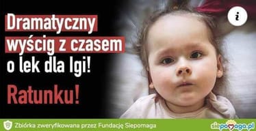 Zdjęcie główne wgrane przez użytkownika