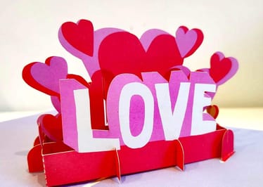 Main photo uploaded by the user