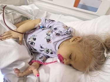 Zdjęcie główne wgrane przez użytkownika