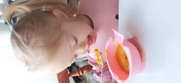 Zdjęcie główne wgrane przez użytkownika