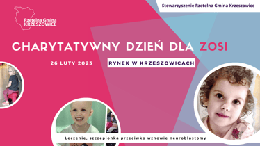 Zdjęcie główne wgrane przez użytkownika