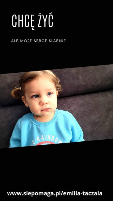 Zdjęcie główne wgrane przez użytkownika