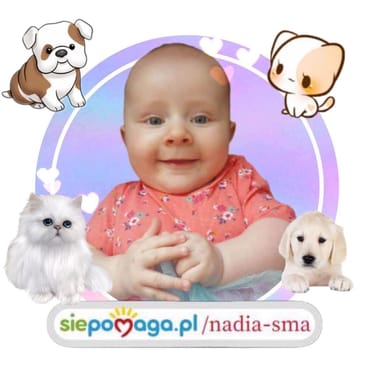 Zdjęcie główne wgrane przez użytkownika