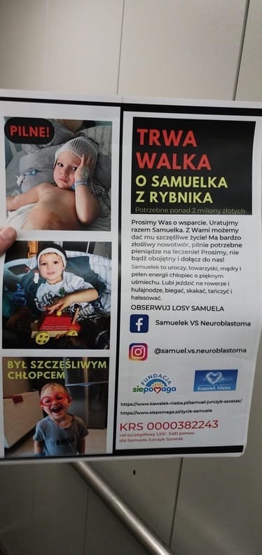Zdjęcie główne wgrane przez użytkownika