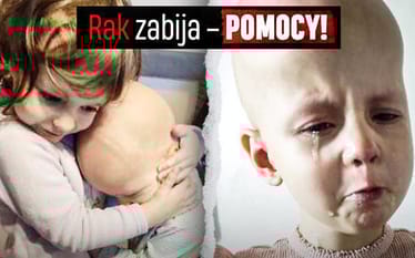 Zdjęcie główne wgrane przez użytkownika