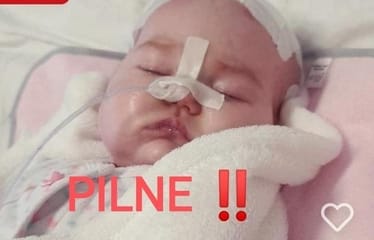 Main photo uploaded by the user